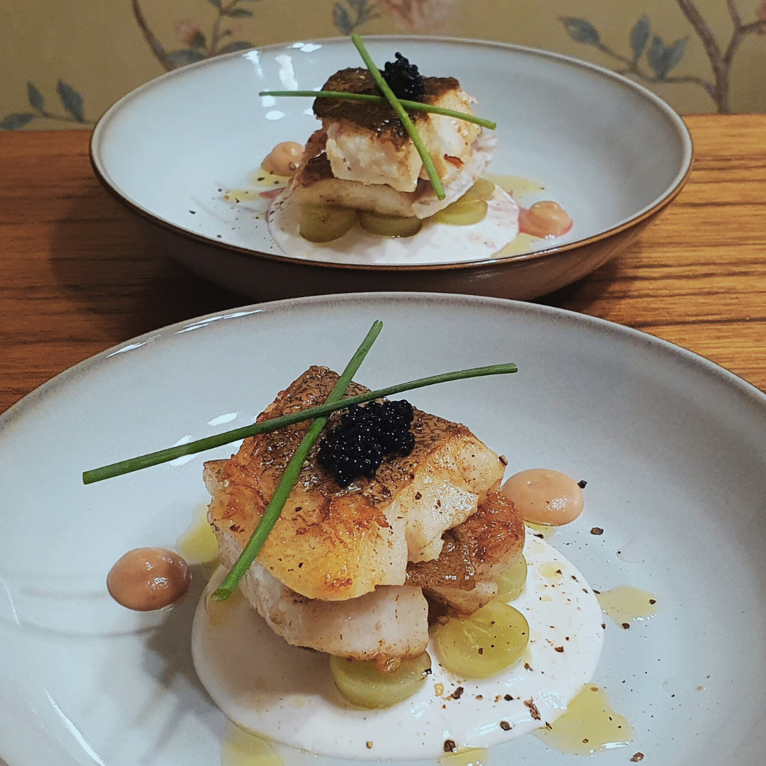 Halibut